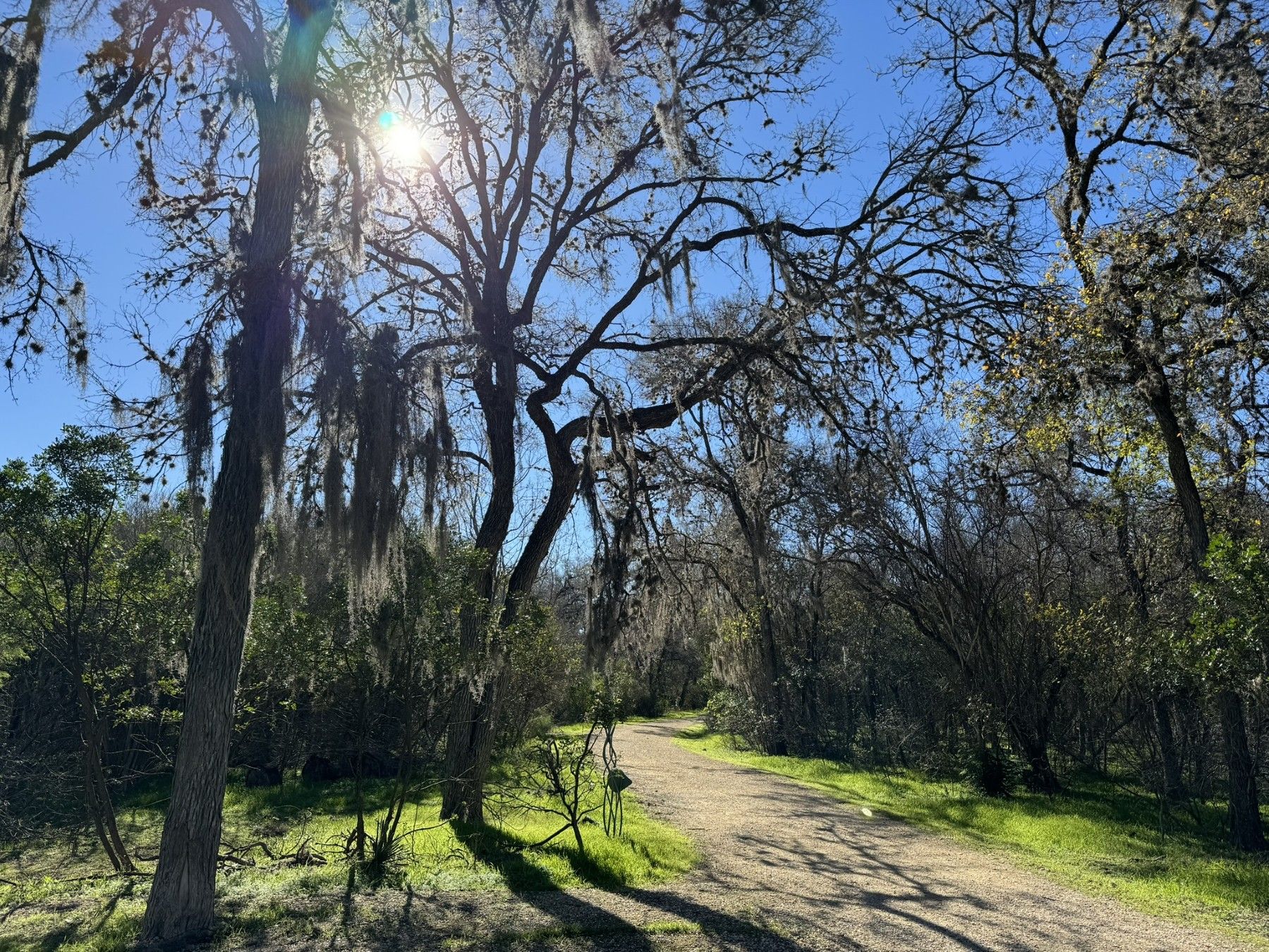 Brackenridge Park