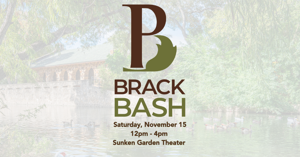 Brack Bash
