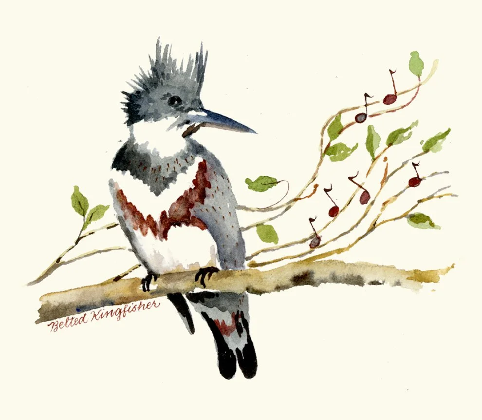 Birdsong site homepage bird