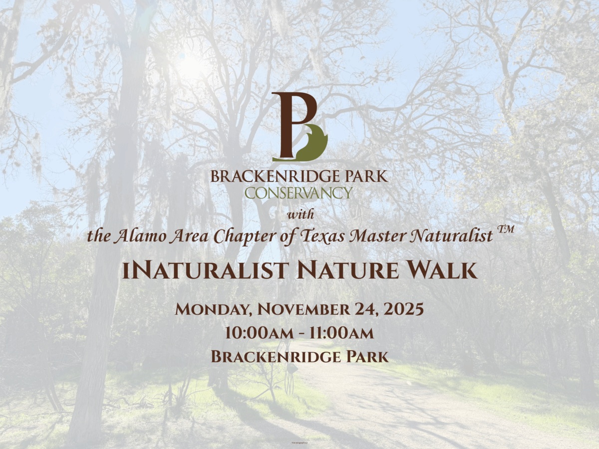 iNaturalist Walk Web