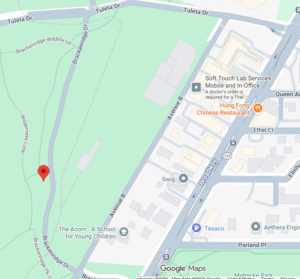 Google maps screenshot of Brackenridge Parks trail area