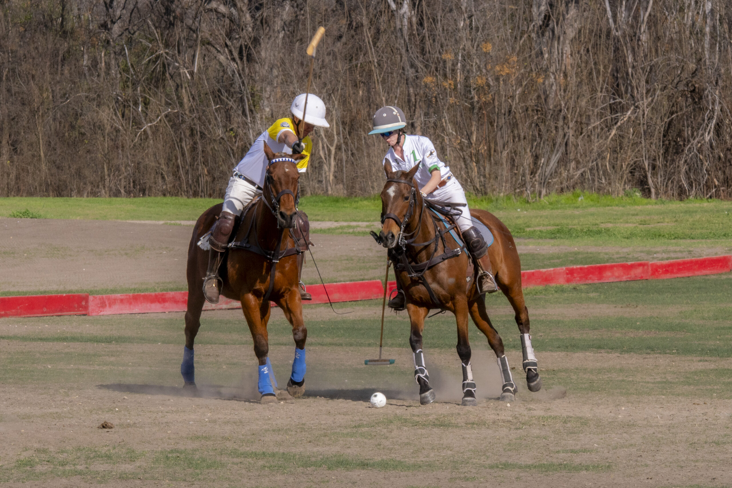 Two polo competitors on horseback