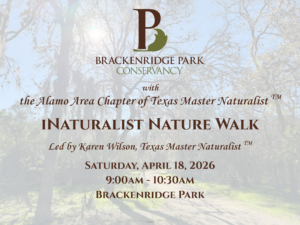 iNaturalist Walk April