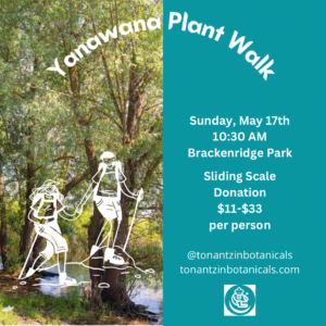 yanawana plant walk2