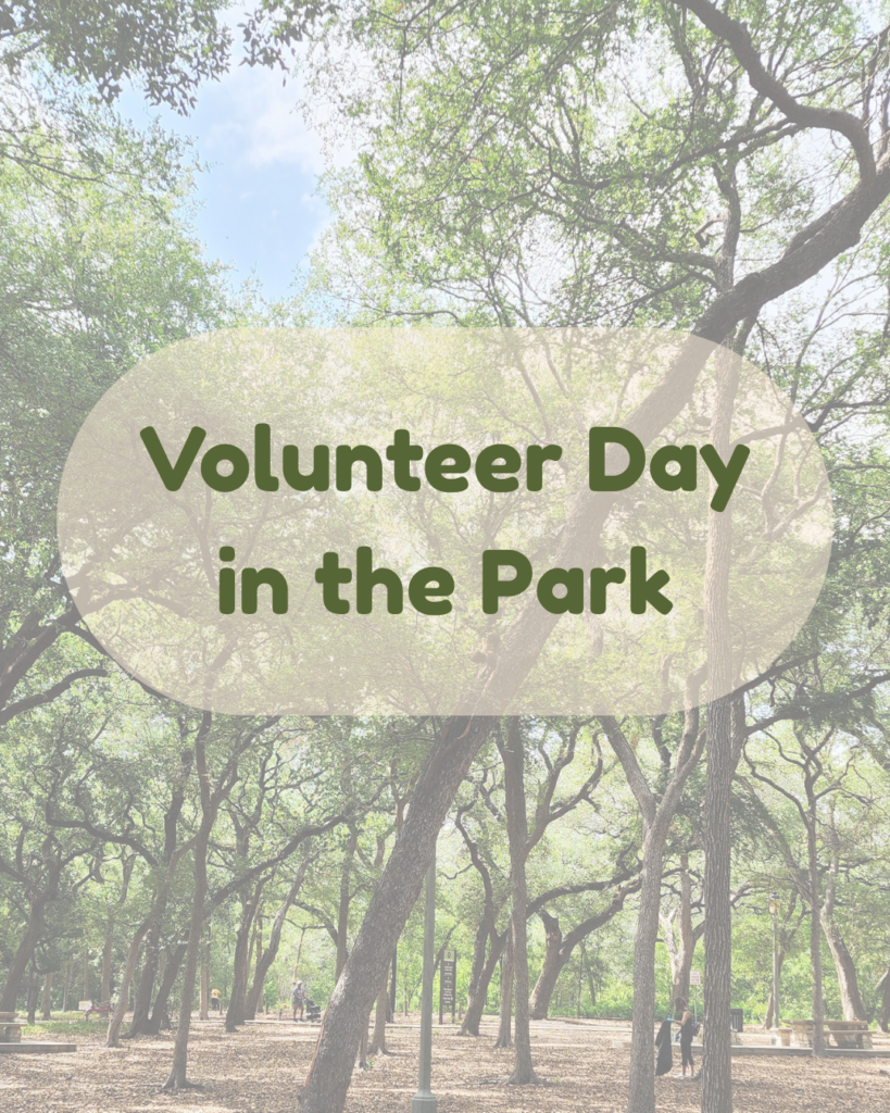 Volunteer Day in the Park