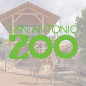 zoo